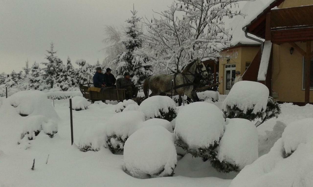 Bed and Breakfast Hartmann Panzió Barcs Exterior foto